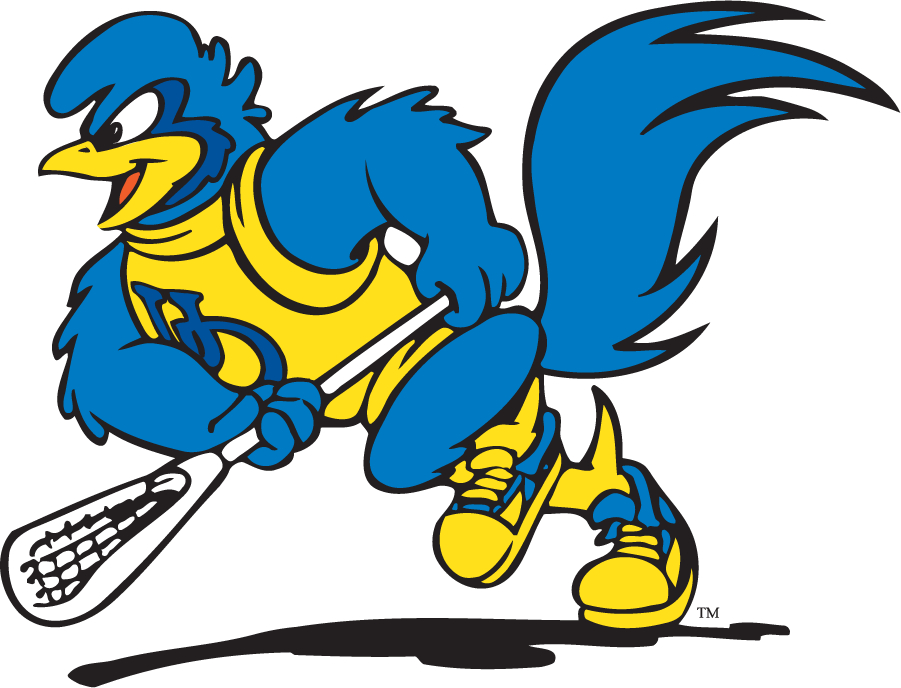 Delaware Blue Hens 1999-2009 Mascot Logo v2 diy DTF decal sticker